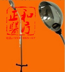 醫用不銹鋼反光燈 落地燈 診察燈 手術燈 可調節 鵝頸燈 蛇皮燈工廠,批發,進口,代購
