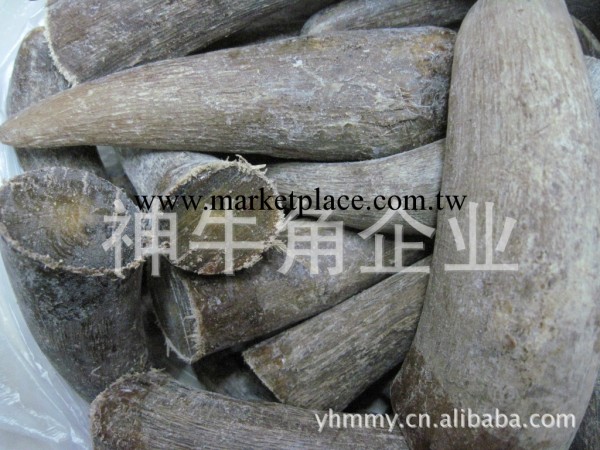 供應《實心牛角尖》140元/公斤實心白犛牛角尖批發工廠,批發,進口,代購