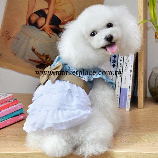 寵物服裝 狗衣服 水洗牛仔雪紡裙  寵物用品廠傢批發工廠,批發,進口,代購