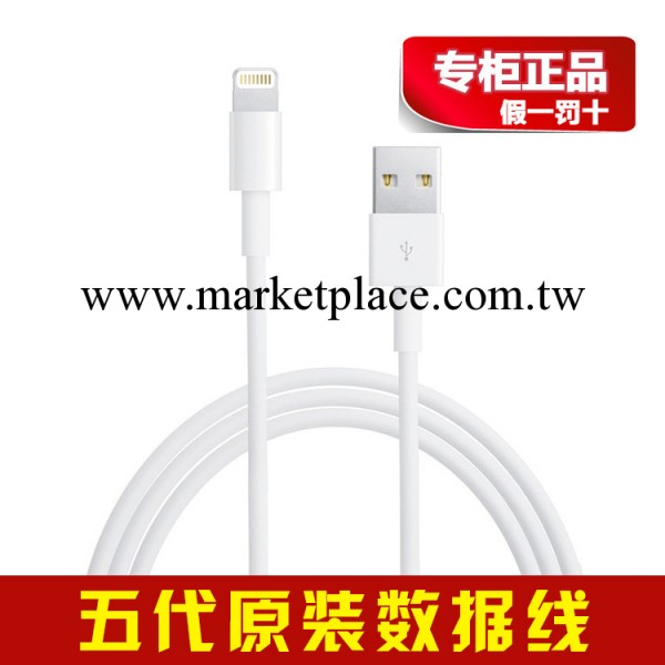 原裝正品 蘋果數據線 iphone5手機配件 ipad mini平板充電線批發工廠,批發,進口,代購