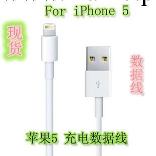 蘋果數據線 iphone5/5S/5C數據線 ipad mini 數據線 支持IOS 7.0工廠,批發,進口,代購