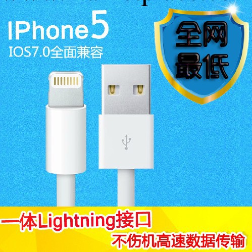 蘋果iphone5土豪金5S ipad air充電線ipad mini2 Lighting數據線批發・進口・工廠・代買・代購