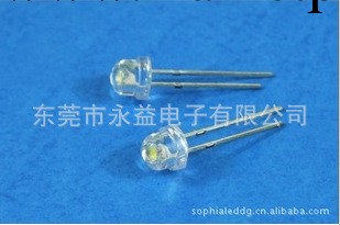 廠傢直銷大量供應LED5mm led燈珠 發光二極管 草帽高亮白 白發白工廠,批發,進口,代購