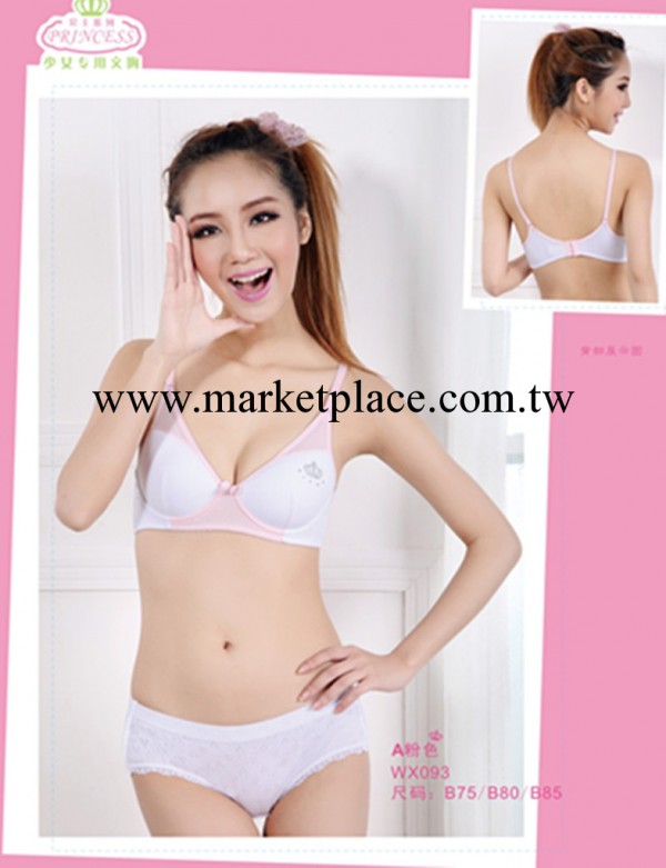 正品迪士尼 公主純棉內衣/少女胸罩/學生背心批發 093工廠,批發,進口,代購