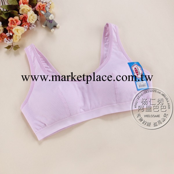 1053少女品牌胸罩批發 學生背心內衣 純棉發育期無鋼圈胸罩 廠傢工廠,批發,進口,代購