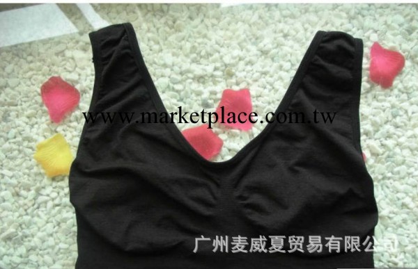 外貿原單與AHH BRA同款單層背心 裹胸背心 運動胸罩 瑜伽無痕背心工廠,批發,進口,代購