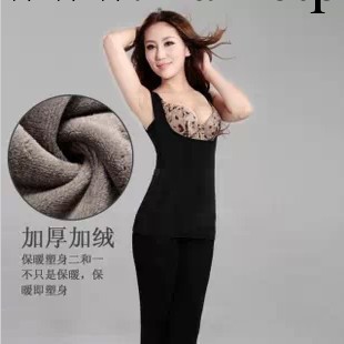 無袖背心背心式保暖內衣保暖背心加厚加絨女打底塑身提胸工廠,批發,進口,代購