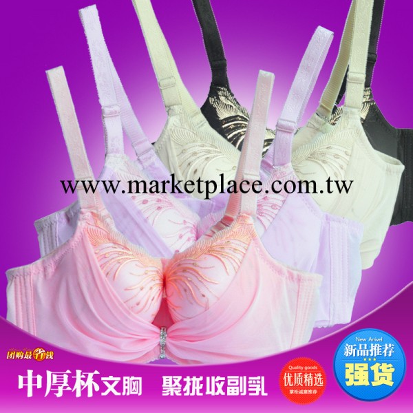 2103 浴火鳳凰 中厚杯女式時尚尊貴胸罩工廠,批發,進口,代購