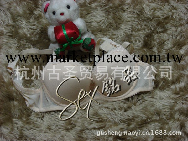 日單胸罩 黛安芬胸罩批發 女士品牌內衣批發 混批144# 女式內衣工廠,批發,進口,代購