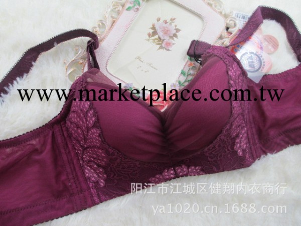 【火拼價】滿1000包郵3039胸罩 超聚攏深V四排扣調整型內衣 B杯工廠,批發,進口,代購