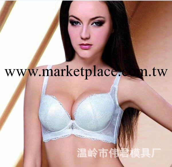 專櫃正品特價批發葛琳若2171調整型胸罩 B杯有插片加厚上托3排扣工廠,批發,進口,代購