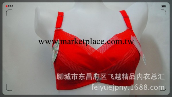 廠傢批發調整型胸罩 性感女士內衣調整型收副乳胸罩 聚攏厚小胸工廠,批發,進口,代購