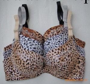 廠價直銷/正品牌胸罩罩 黛安芬豹紋女士胸罩內衣批發供應免費代理工廠,批發,進口,代購