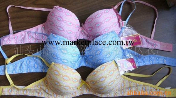 供應156#南美胸罩 中東胸罩 印花少女款胸罩工廠,批發,進口,代購