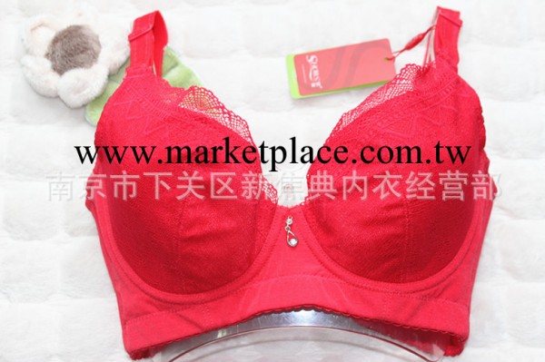 熱賣爆款品牌胸罩批發，專業調整型磁療內衣B8201工廠,批發,進口,代購