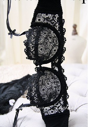 爆款歐美外貿鏤空超薄透明性感 高檔半杯水溶刺繡 女士胸罩套裝工廠,批發,進口,代購