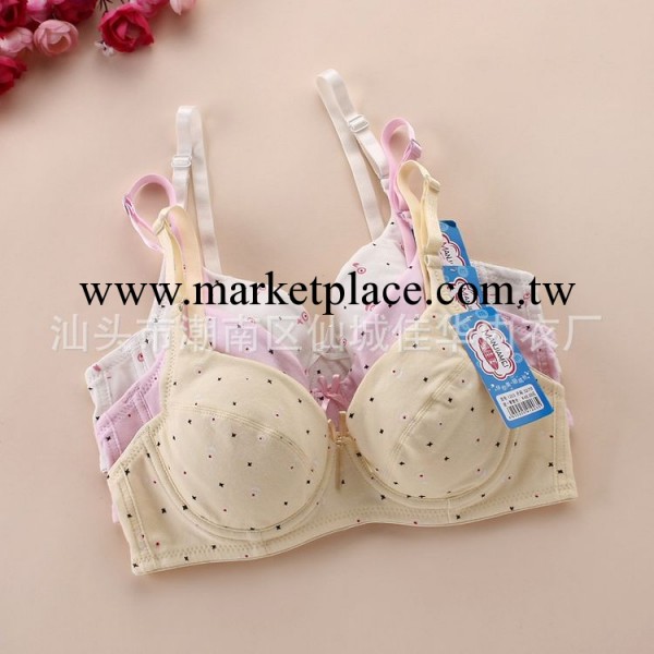 廠傢直銷 批發 薄款純棉發育期少女內衣 有鋼圈學生胸罩 1203工廠,批發,進口,代購
