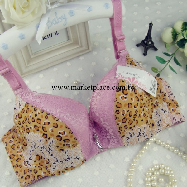 品牌胸罩清倉 三排扣豹紋胸罩 中厚棉聚攏胸罩 中高檔三排扣胸罩工廠,批發,進口,代購