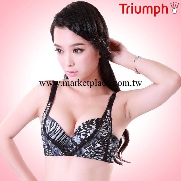 【天貓貨源】熱賣孔雀豹紋少女中小胸MM胸罩黛安芬批發一件代發工廠,批發,進口,代購