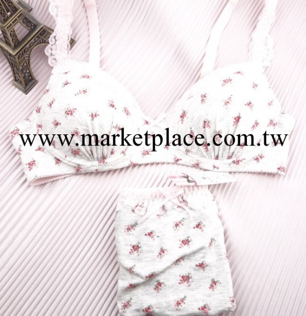 50855外貿內衣,日單內衣,無鋼托內衣,睡眠胸罩,內衣套裝,少女胸罩工廠,批發,進口,代購