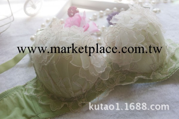 1320#秋冬新款 雪紡繡花 高端聚攏性感少女胸罩內衣套裝批發供應工廠,批發,進口,代購