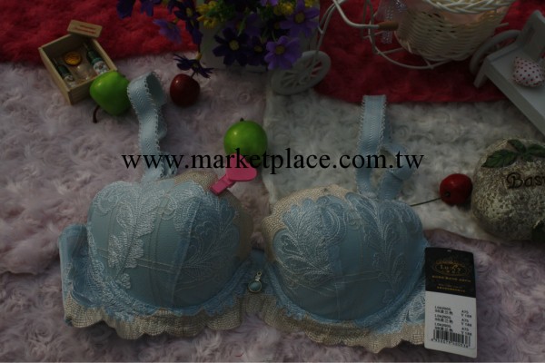 供應原單貨存 繡花聚攏 金屬裝飾 花邊少女胸罩批發工廠,批發,進口,代購