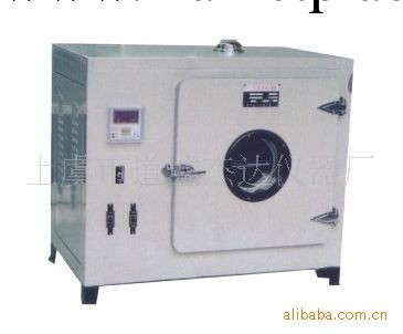 供應101A—0型電熱恒溫鼓風幹燥箱 廠傢直銷工廠,批發,進口,代購