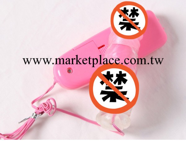 供應成人用品 女用自慰器具 夫妻情趣用品 震動按摩棒 G點棒工廠,批發,進口,代購