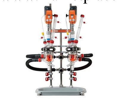 英國Radleys Reactor-Ready Duo實驗室反應釜工廠,批發,進口,代購