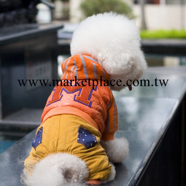 2014新款貴賓 寵物衣服 批發 服裝服飾 秋冬裝 動感地帶  四腿衣工廠,批發,進口,代購
