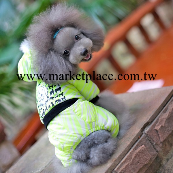2014新款貴賓 寵物衣服 批發 服裝服飾 秋冬裝 熒光名犬 四腿衣工廠,批發,進口,代購