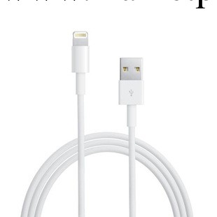 iphone5 新品 Lightning USB YEXIN最新蘋果數據線 蘋果5數據線工廠,批發,進口,代購