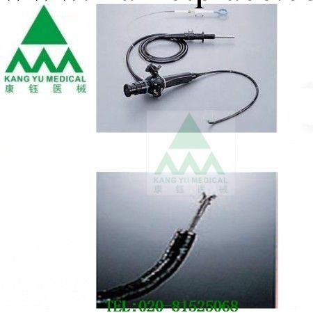 供應 鼻咽喉纖維內窺鏡ENF-T3工廠,批發,進口,代購