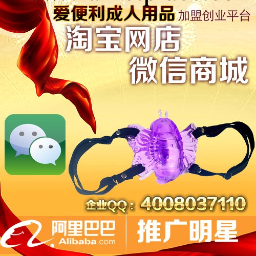 百樂跳蛋 遙控蝴蝶 無線震動跳蛋 成人情趣情趣用品 加盟代理分銷工廠,批發,進口,代購