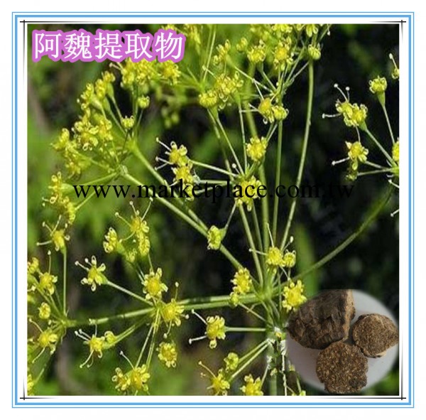 【慈緣生物】阿魏酸Ferulic Acid 99%  植物提取物批發・進口・工廠・代買・代購