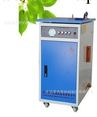 廠傢直銷電加熱蒸汽發生器/小型免檢蒸汽鍋爐/醫療實驗專用鍋爐工廠,批發,進口,代購