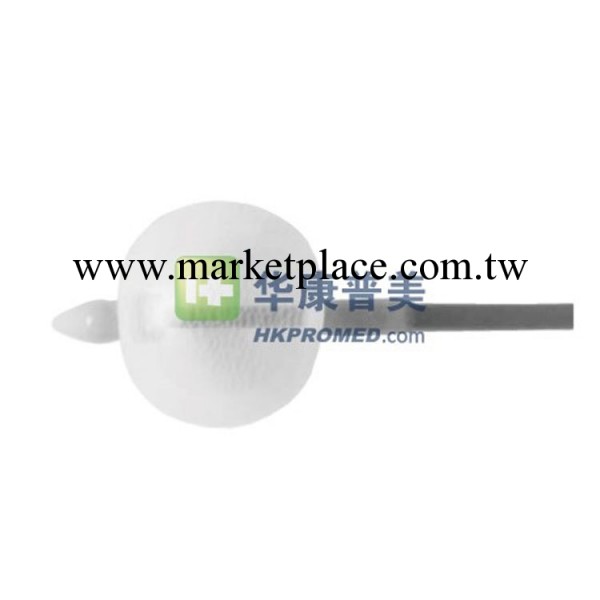 狼牌richard-wolf輸尿管腎鏡氣囊導管8952.513工廠,批發,進口,代購