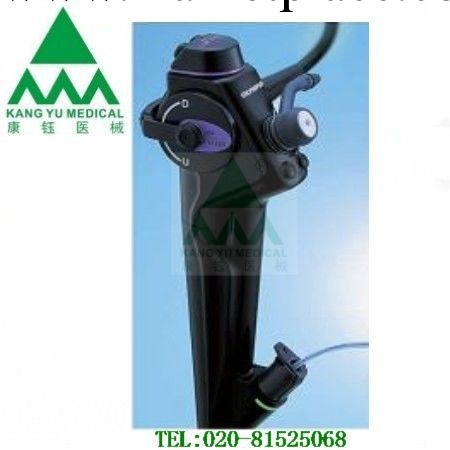 供應 電子支氣管鏡BF-1T260工廠,批發,進口,代購