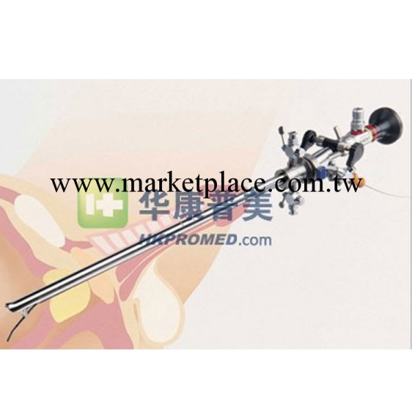 狼牌richard-wolf 4mm超廣角膀胱尿道鏡8650.414工廠,批發,進口,代購