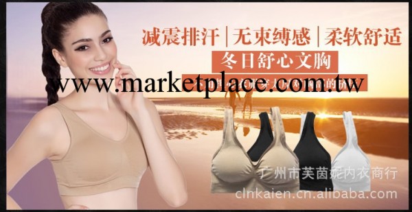 外貿 無鋼圈運動背心  莫代爾聚攏女士瑜伽跑步吸汗運動胸罩工廠,批發,進口,代購