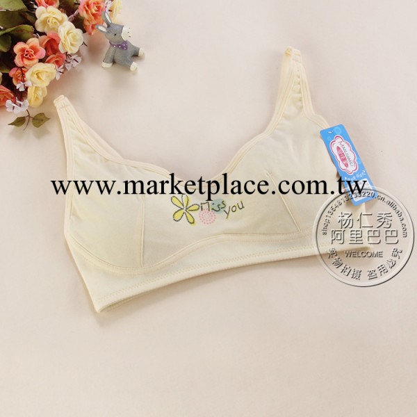 8010少女品牌胸罩批發 學生背心內衣 純棉發育期無鋼圈胸罩 廠傢工廠,批發,進口,代購