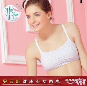安菲雅 學生內衣/學生胸罩/少女內衣/少女胸罩/少女背心(A831)工廠,批發,進口,代購