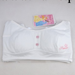 批發品牌少女胸罩 迪士尼公主純棉內衣/少女胸罩/學生發育背心085工廠,批發,進口,代購