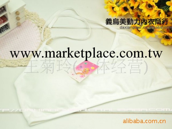 批發供應 美動力少女學生內衣 純棉全棉裹胸小吊帶背心270#工廠,批發,進口,代購