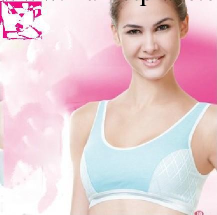 廠傢直銷女士提花無鋼圈休閒背心/ 胸罩  瑜伽運動背心工廠,批發,進口,代購
