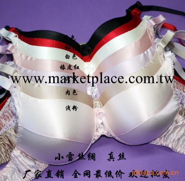 100%桑蠶絲 精品真絲胸罩 雙面真絲胸罩 A罩杯 S82工廠,批發,進口,代購