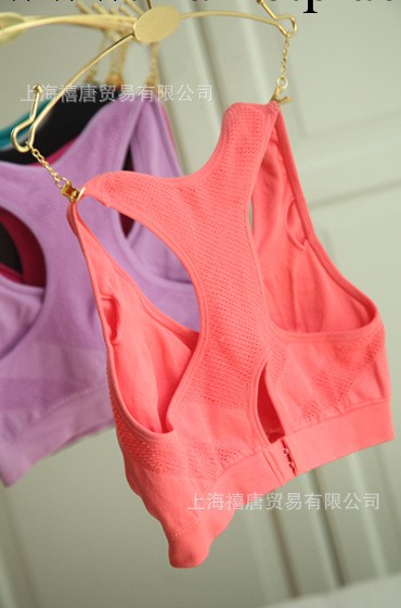 美國J*E 專業運動品牌外貿胸罩 無鋼托瑜伽無痕胸罩批發工廠,批發,進口,代購