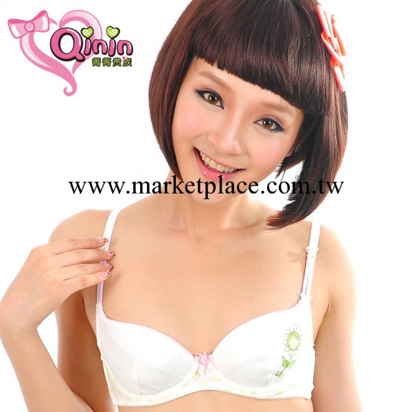 箐箐貴族少女胸罩a罩杯可愛甜美時尚聚攏性感胸罩莫代爾內衣3010工廠,批發,進口,代購