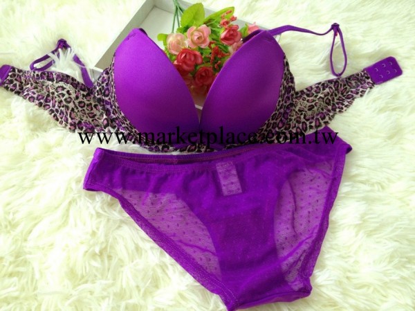 外貿原單  歐美原單 2013新款 性感胸罩內衣 熒光色內衣工廠,批發,進口,代購