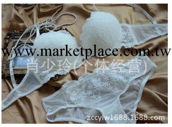 熱銷爆款歐美原單加強版外貿內衣刺繡胸罩套裝廠傢直銷工廠,批發,進口,代購
